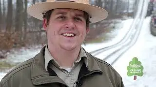 Are You Brave Enough to Try the Toboggan Run at Pokagon State Park?