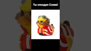 Ты опоздал Соник! Теперь я Сертифицированная уточка! #tiktok
