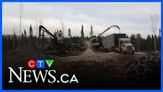 Thunder Bay mill to end production of newsprint