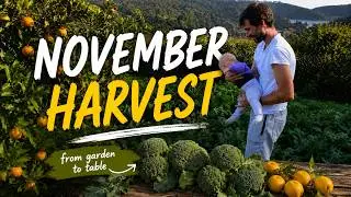 Slow Living and Autumn Harvests | #3 November
