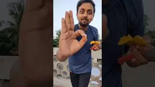 How To Cut Ripe Mango 😲😞 | Village Style Mango Cutting #shorts #skills #mango #mangolover #foodie