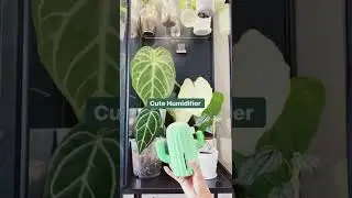 IKEA Greenhouse Cabinet: RUDSTA Tall Part 2 🍃 subscribe and check out part 1 💗