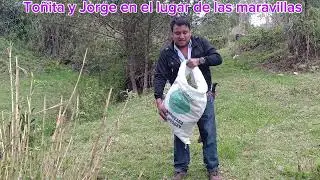 Por esta razón nuestros animalitos de rancho su carne 🍖 es 100% saludable 🐓 🐷 