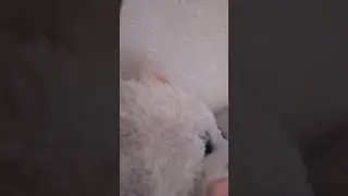 Really short video! 0 SECOND VIDEO!!!
