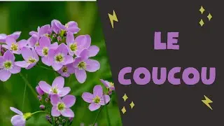 Po&egrave;me: Le Coucou
