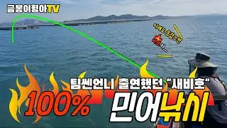 괴물어종!민어(民魚)! 100%확률로 잡는 방법