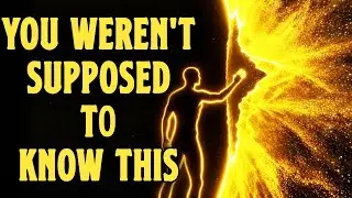The Quantum Field Isn't Supposed to Let You See This (You Were Right All Along) | Observer Effect 24