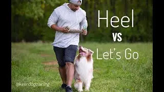 Dog Training: Heel vs Let&rsquo;s Go