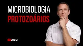 AULA 03 - PROTOZO&Aacute;RIOS - BIOLOPES