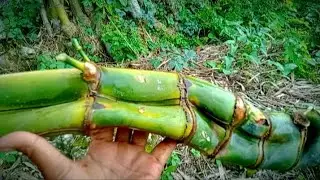 Viral,,di Pilangkenceng Ngawi‼️bambu lipat Rogo❗batasi gerakmu bila tidak penting‼️