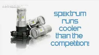 WeissLicht Spektrum LED Turn Signal Bulbs for BMW