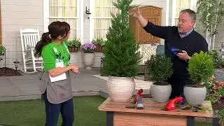 Sun Joe 2-in-1 Handheld Hedge, Shrub, Grass & Tree Trimmer on QVC