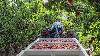 Word of Thanks: Food Banks of the Rockies