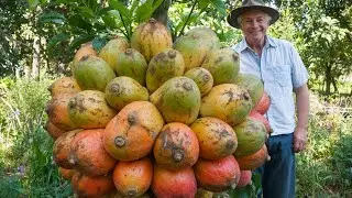 25 Incredible Fruits That Look Too Unreal to Be True