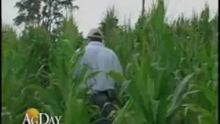 2009 Pro Farmer Midwest Crop Tour