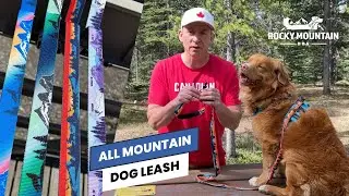 All Mountain Dog Leash
