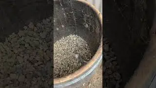 Wine barrel planter with drainage hole in side of barrel. Keeps barrel from rotting as quickly.
