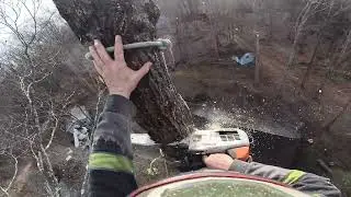 Road of Tennessee to cut some trees