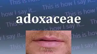 This is How I Say...adoxaceae