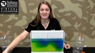 Salt Wedge Experiment