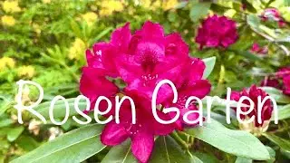 Rosen Garten Bern Switzerland | Walking Tour 4K HDR Dolby Vision