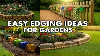 40 DIY Garden Borders on a Budget! Simple Ideas for a Beautiful Backyard 💡