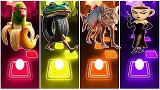 Chimpanzini Bananini 🆚 Boneca Ambalabu 🆚 Trulimero Trulichina 🆚 Ballerina Cappuccina.🎶 Who Is Best?