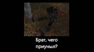 S T A L K E R  Shadow of Chernobyl мем