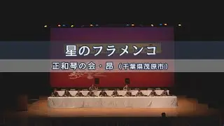 「星のフラメンコ」第38回 琴伝流コンサート in 沖縄