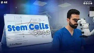 stem cells 2 (last video)شرح _ oral histology || عزت شومان