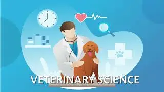 VETERINARY SCIENCE | Course Details | Careers & Courses | Higher Education | Study after 10th & 12th