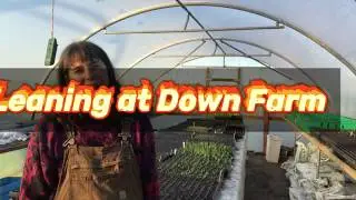 Winter Leaning 2020 at Down Farm