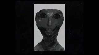 Tape_Anomaly.mp4 -The Maplewood County Archives-  