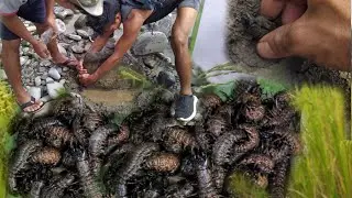 Tasty food || catching hellgrammites (Dopsonflies larvae)&fishing with friends.💥💥
