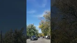 #chicagostreets #autumnseason #chicagousa