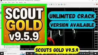 Scouts Gold V9 5 9 | Best Forex EA Get Now Just In $19