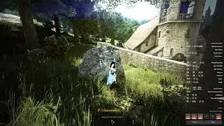 Black Desert Ultra setting Experiment with color reflections from clothing and objects.