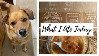 OPTAVIA NEW FUELING HACK, WHAT I ATE TODAY AND PAISLEY UPDATE