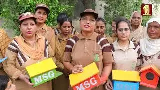 A Gift of Shelter for Birds🕊️🛖 - सेवादारों ने किया पक्षियों के खाने, पीने व रहने का पक्का इंतज़ाम