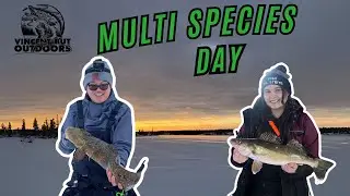 Yellowknife Early Ice Fishing | Multi Species!