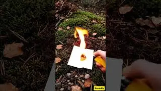 Easy Flamable Wood Juice 🔥 #asmr #nature #camping #soundly