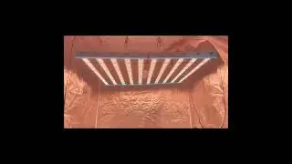1000W Samsung LM301H+XP-E2(660nm+730nm)+L-G UV IR Full Spectrum Strip Horticulture Led Grow Light