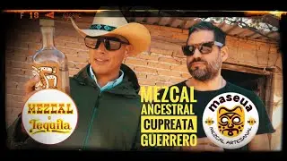 Mezcal Ancestral de altura: &laquo;Maseua&raquo;, Chilapa, Guerrero. Agave Cupreata
