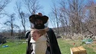 How To Inspect Bees In The Spring On April 1st