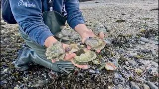 How to find delicious seafood on the Shoreline | The Fish Locker