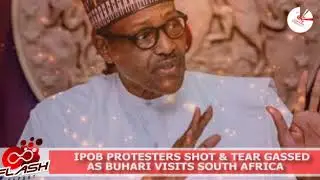 IPOB Protesters Shot & Tear Gassed As Buhari Visits South Africa