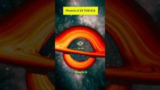 Phoenix a vs Ton 618 size comparison | Ton 618 vs Phoenix a #phoenixavston618