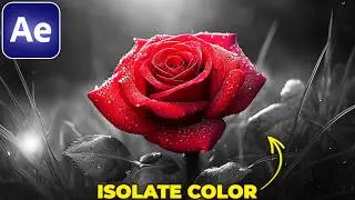 How to ISOLATE A COLOR in After Effects
