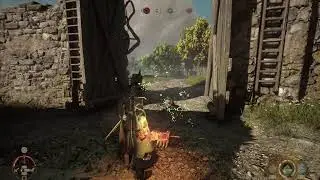 Soulframe getting ready for the update
