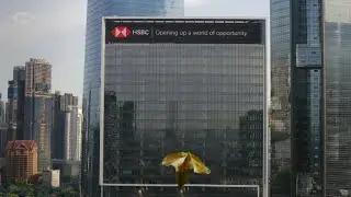 Discover A World Of Opportunity